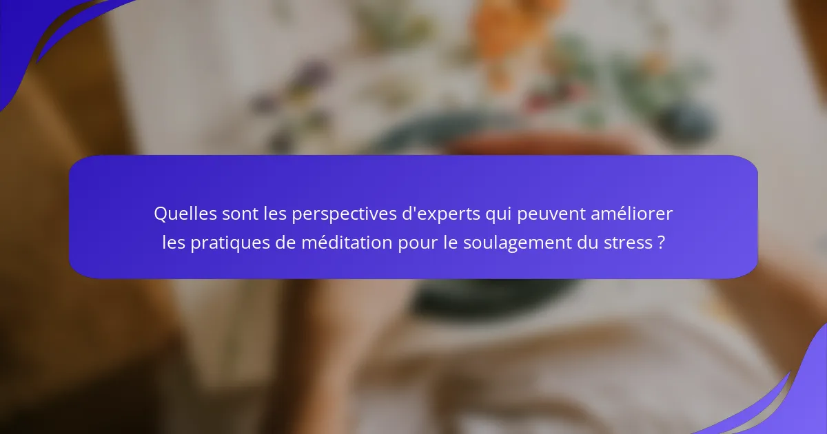 Quelles sont les perspectives d'experts qui peuvent améliorer les pratiques de méditation pour le soulagement du stress ?