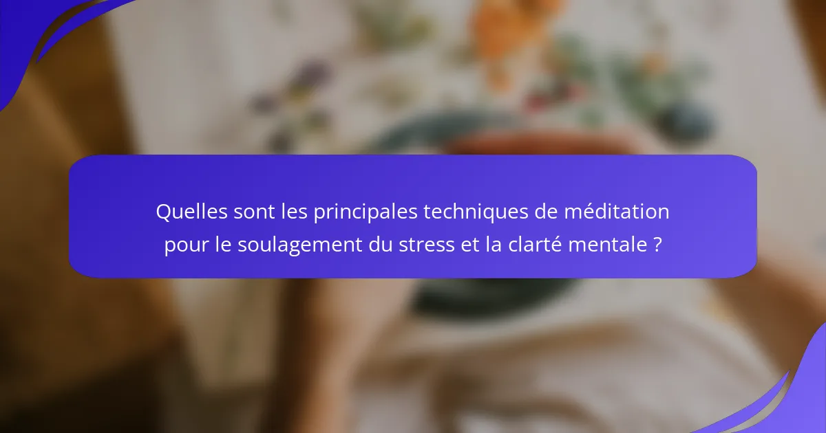 Quelles sont les principales techniques de méditation pour le soulagement du stress et la clarté mentale ?