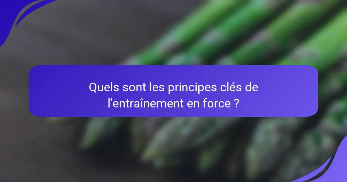 Quels sont les principes clés de l'entraînement en force ?